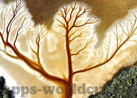花果水果机最新版-花果水果机最新版的魅力与革新