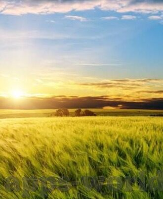 男篮世界杯土耳其vs新西兰-土耳其男篮与新西兰的较量，速度与力量的碰撞